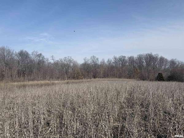 20 Acres of Land for Sale in Paris, Illinois