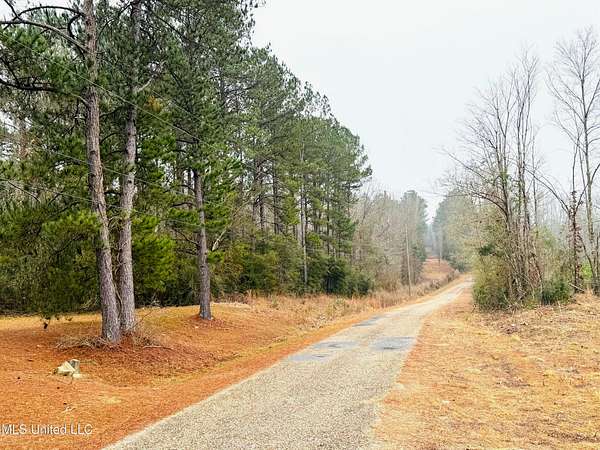 20 Acres of Land for Sale in Tylertown, Mississippi