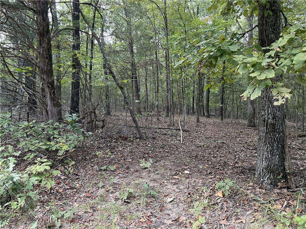 20 Acres of Land for Sale in Lead Hill, Arkansas