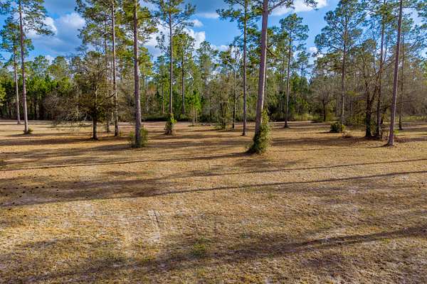 1 Acre of Residential Land for Sale in Lake Butler, Florida