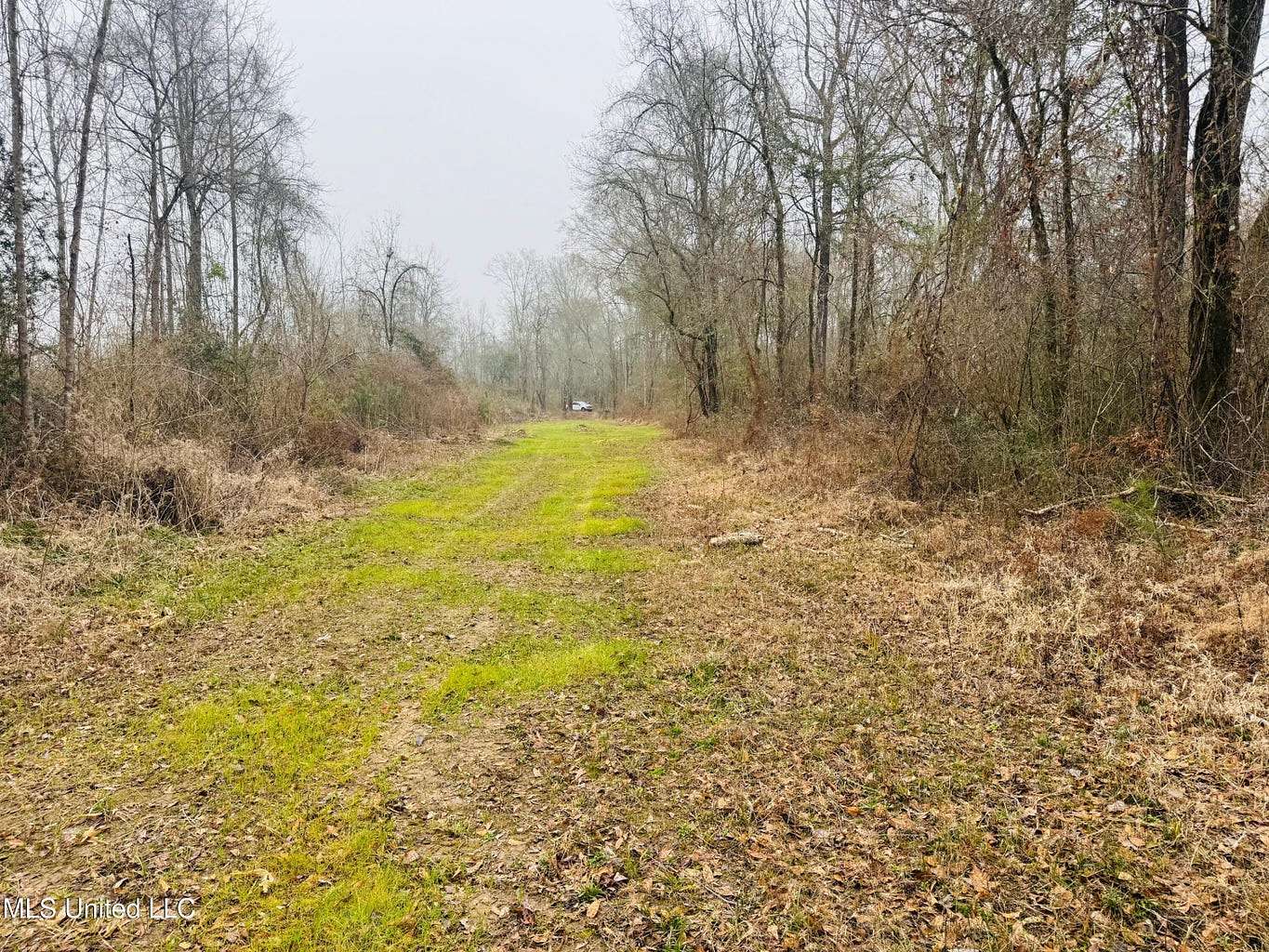 40 Acres of Land for Sale in Tylertown, Mississippi