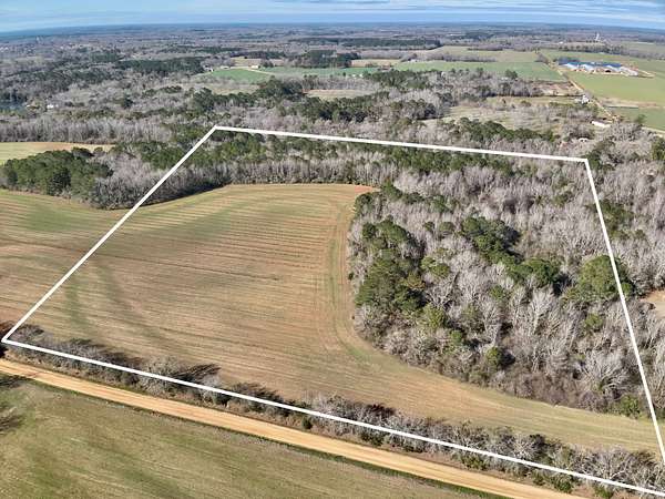 30 Acres of Agricultural Land for Sale in Enterprise, Alabama