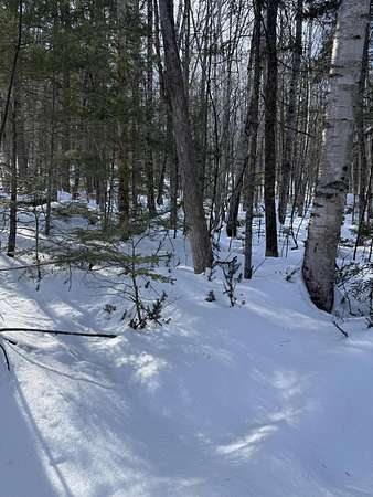 42.7 Acres of Recreational & Residential Land for Sale in Hartland, Maine