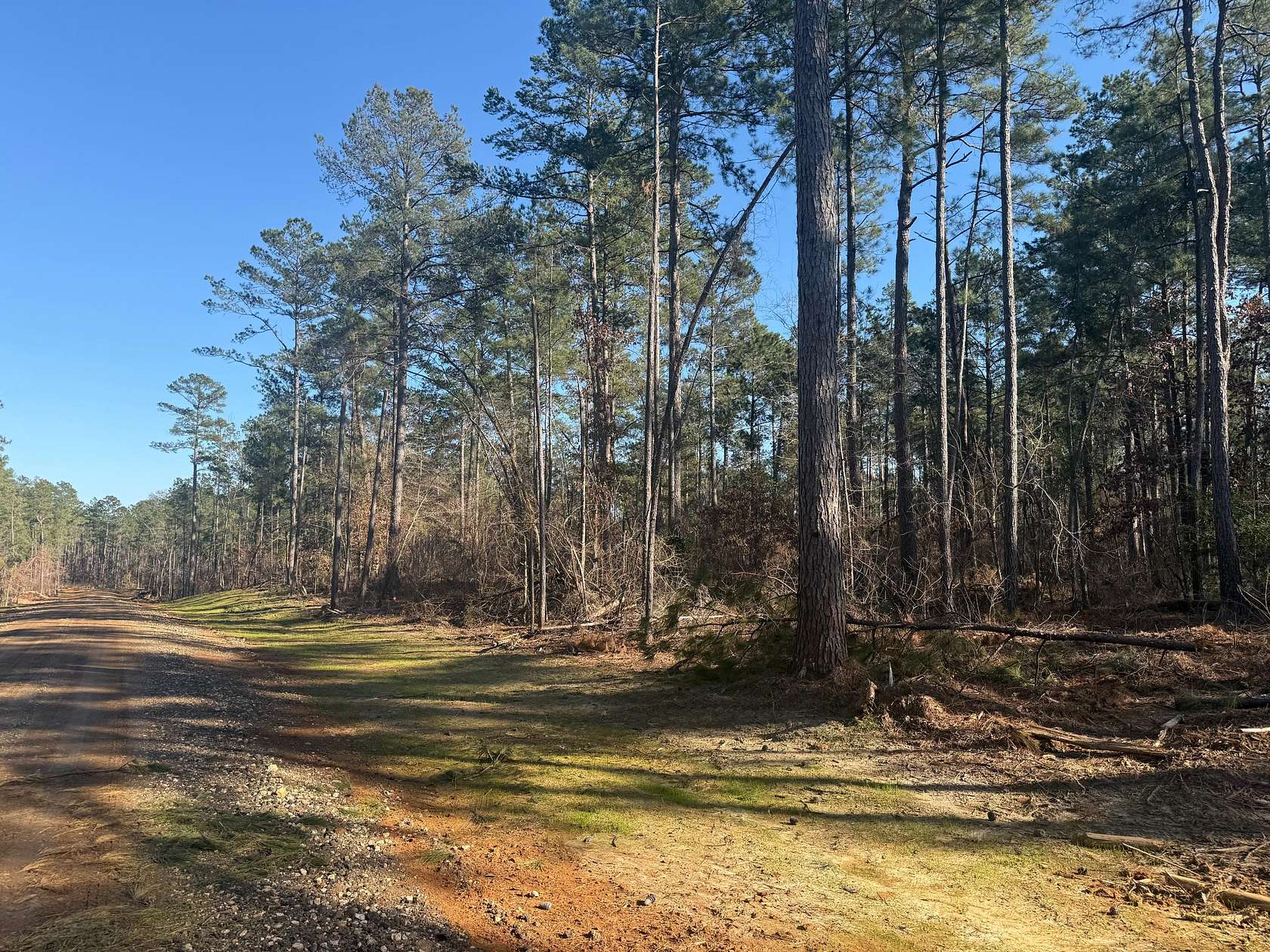 10 Acres of Land for Sale in Ruston, Louisiana