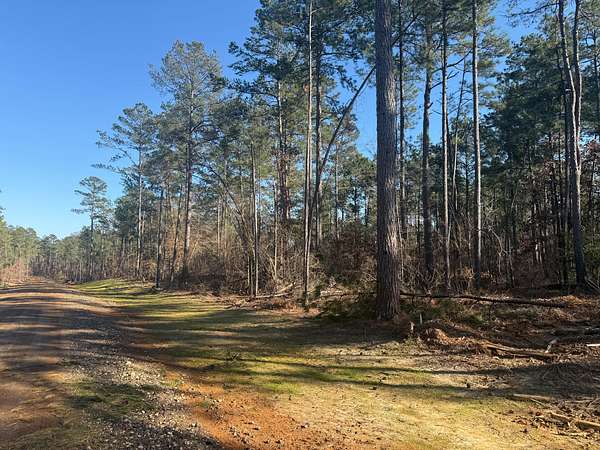 10 Acres of Land for Sale in Ruston, Louisiana