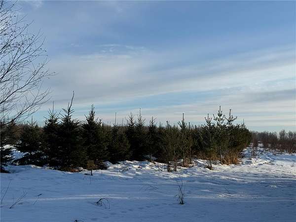 23.7 Acres of Land for Sale in Finlayson, Minnesota