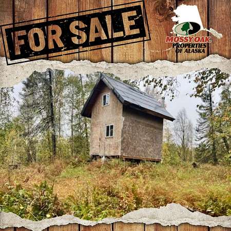 19 Acres of Recreational Land for Sale in Talkeetna, Alaska