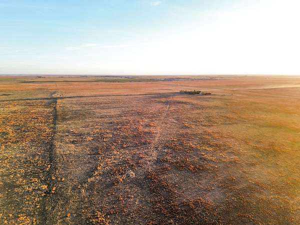 157 Acres of Land for Sale in Liberal, Kansas