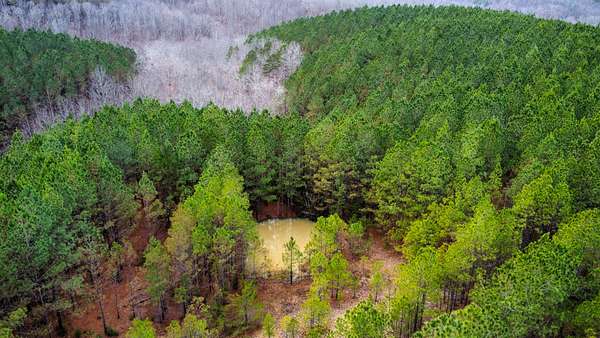 31 Acres of Recreational Land for Sale in Hohenwald, Tennessee