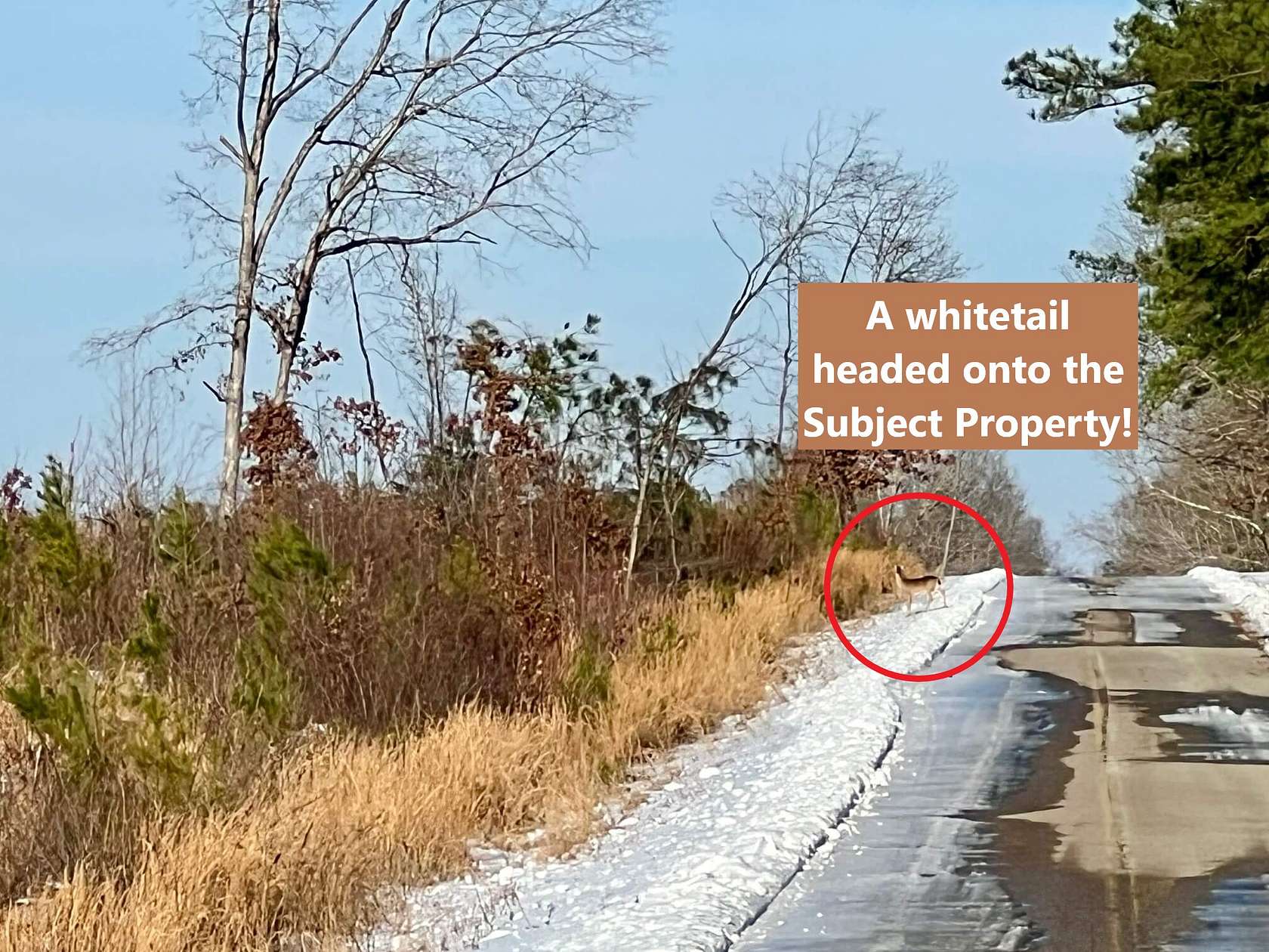 68 Acres of Land for Sale in Holladay, Tennessee