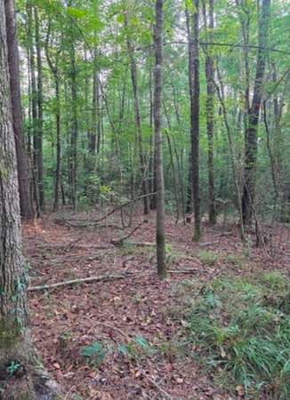 3 Acres of Recreational Land for Sale in Stringer, Mississippi