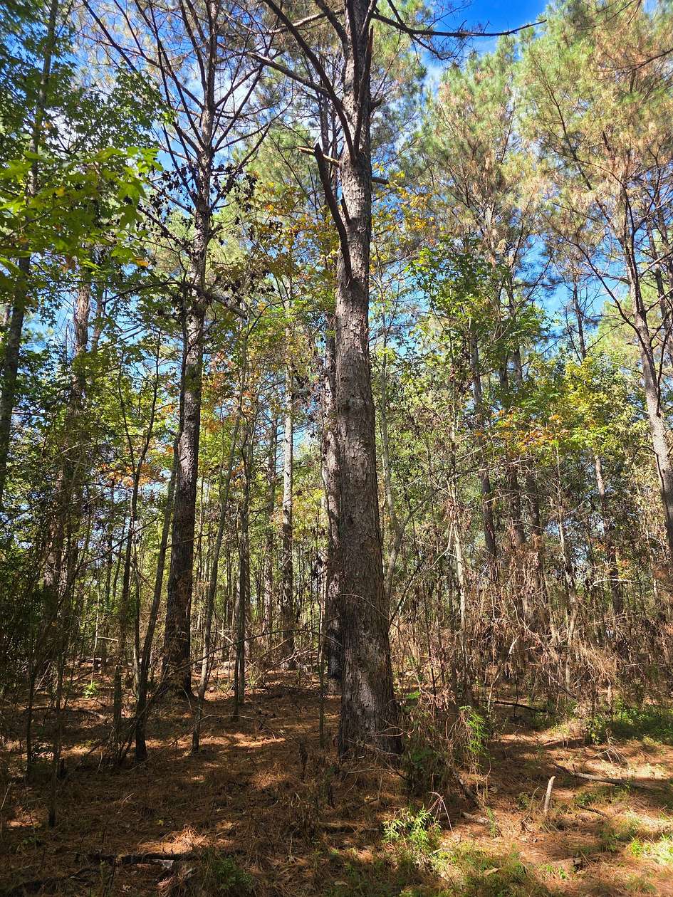 7 Acres of Land with Home for Sale in Bogue Chitto, Mississippi