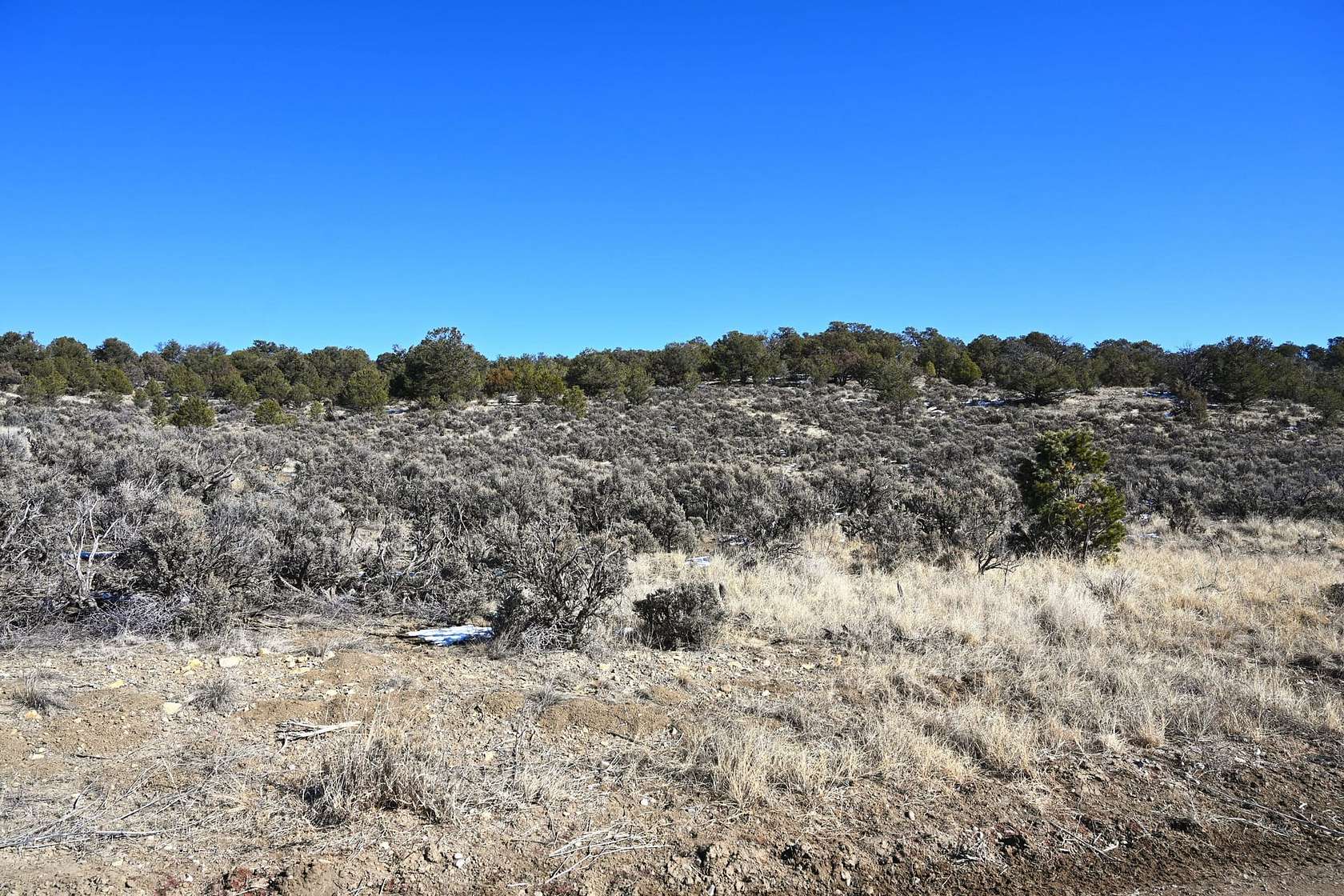 10 Acres of Recreational Land for Sale in Tierra Amarilla, New Mexico