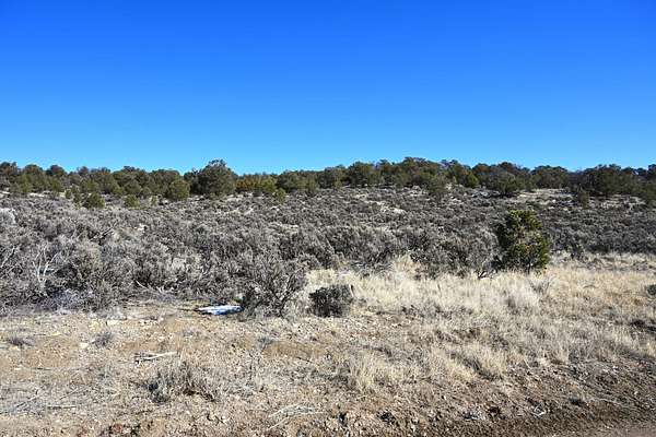 10 Acres of Recreational Land for Sale in Tierra Amarilla, New Mexico