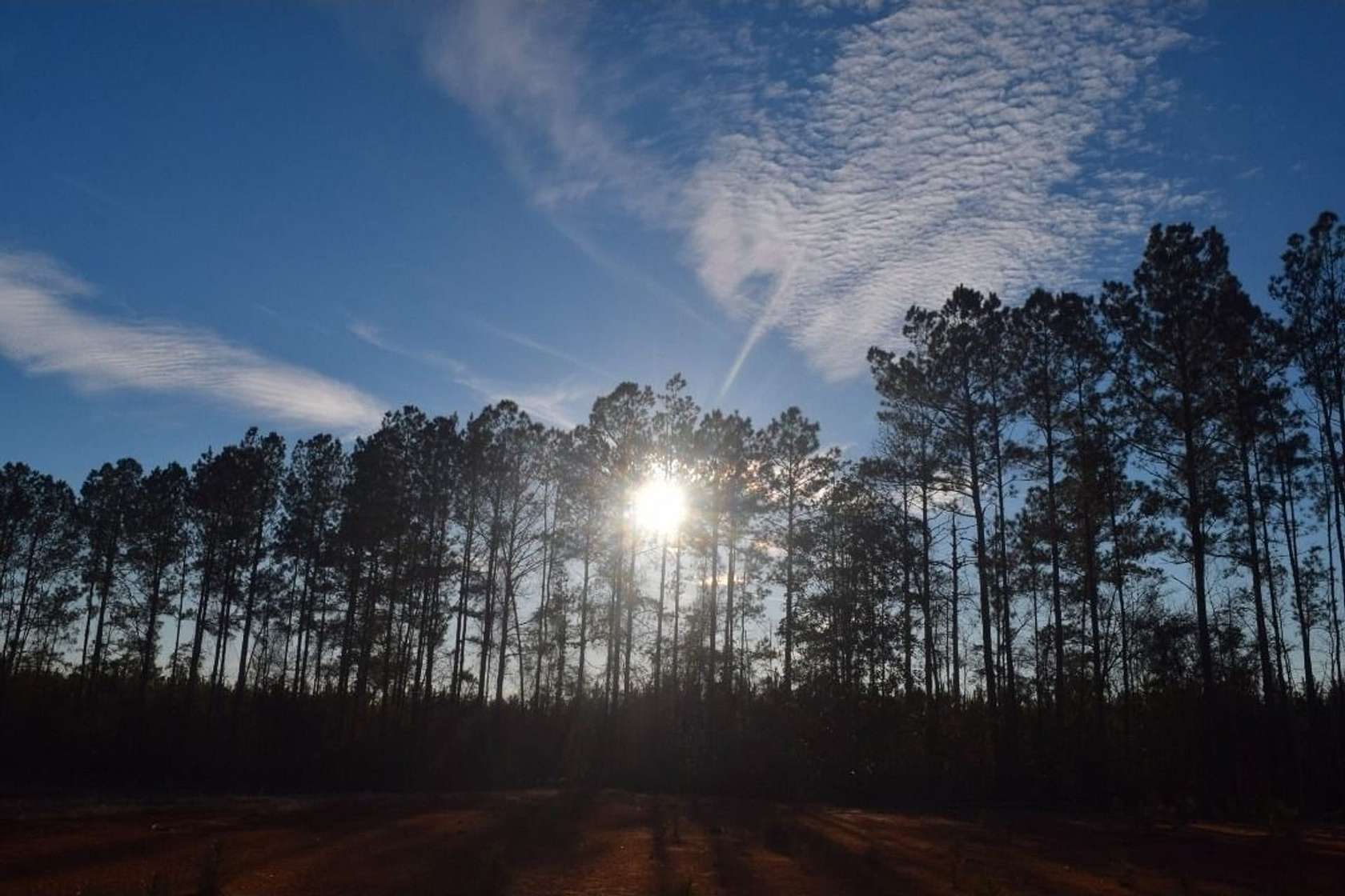 21.8 Acres of Recreational Land for Sale in Summit, Mississippi