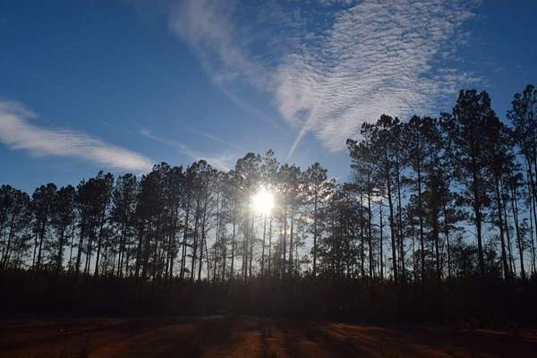 21.8 Acres of Recreational Land for Sale in Summit, Mississippi