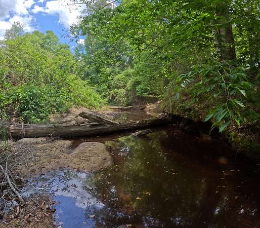 255 Acres of Recreational Land for Sale in Braxton, Mississippi