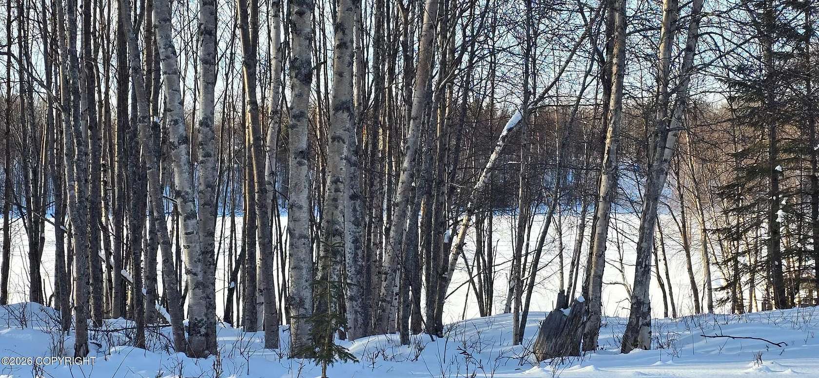 0.92 Acres of Residential Land for Sale in Nikiski, Alaska