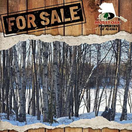 0.92 Acres of Residential Land for Sale in Nikiski, Alaska
