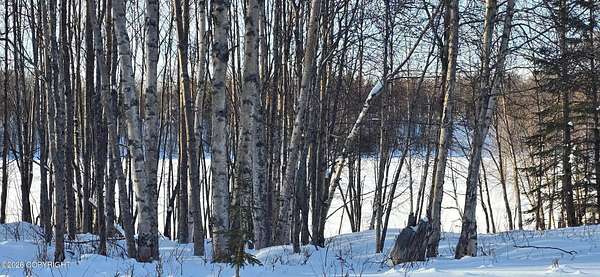 0.92 Acres of Residential Land for Sale in Nikiski, Alaska