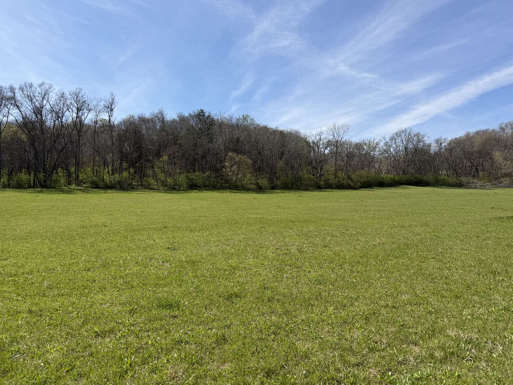 37 Acres of Land for Sale in Santa Fe, Tennessee