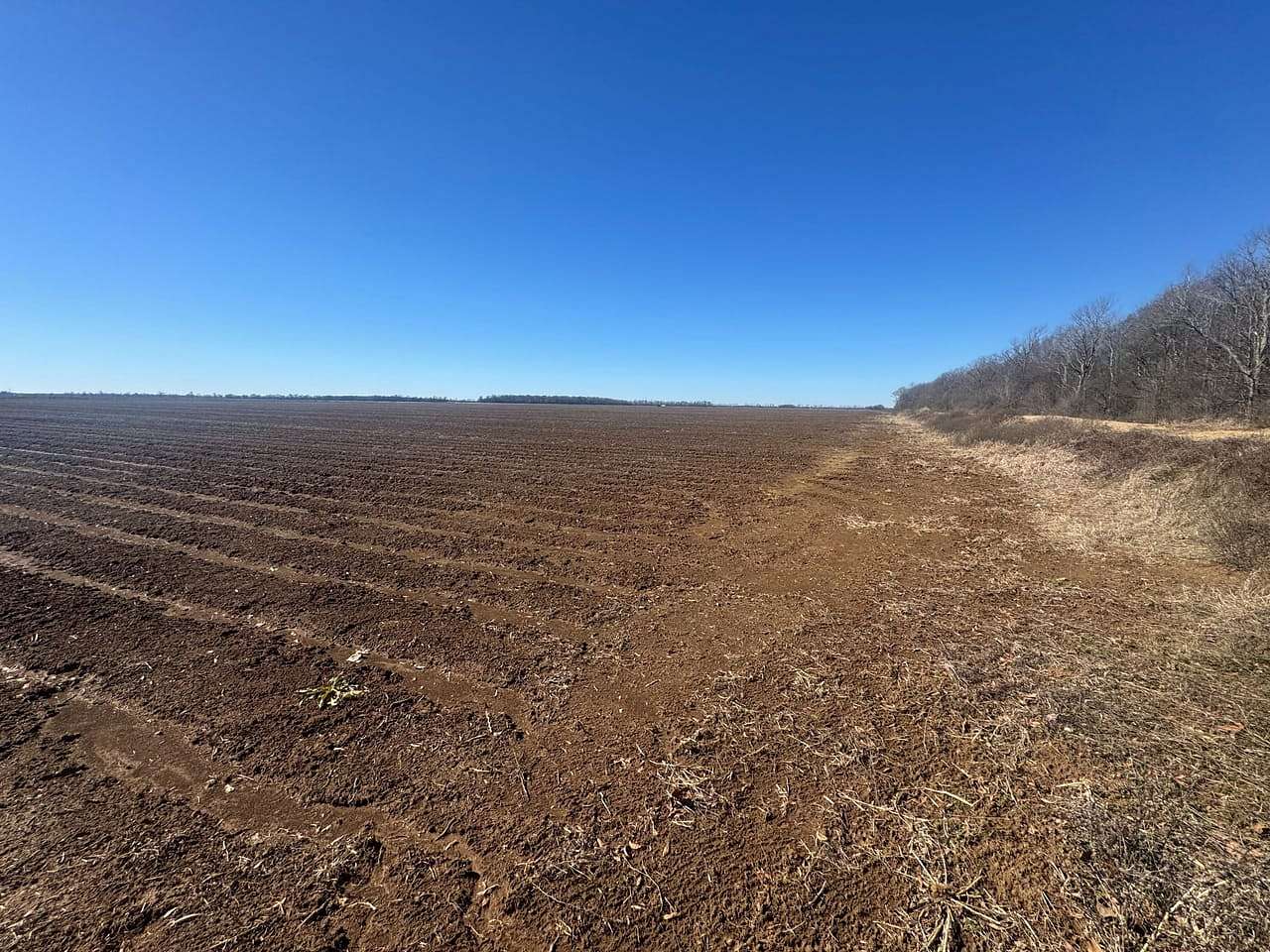 160 Acres of Agricultural Land for Sale in Montrose, Arkansas