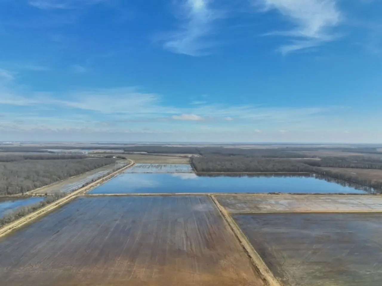 160 Acres of Land for Sale in Stuttgart, Arkansas