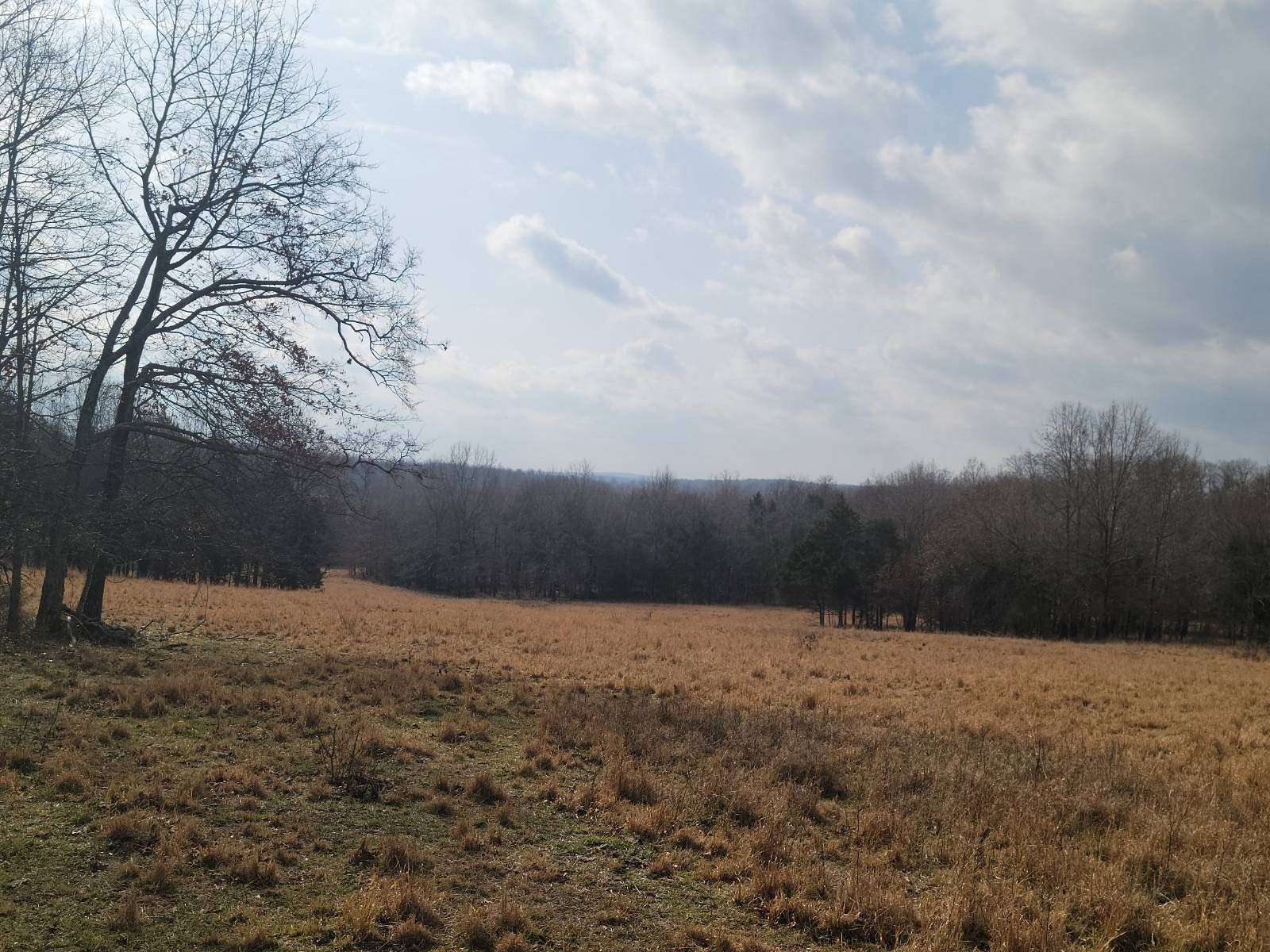 40 Acres of Recreational Land for Sale in Mammoth Spring, Arkansas