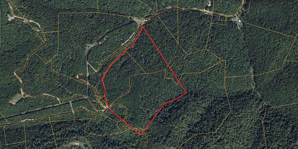 52 Acres of Recreational & Residential Land for Sale in Dunlow, West Virginia