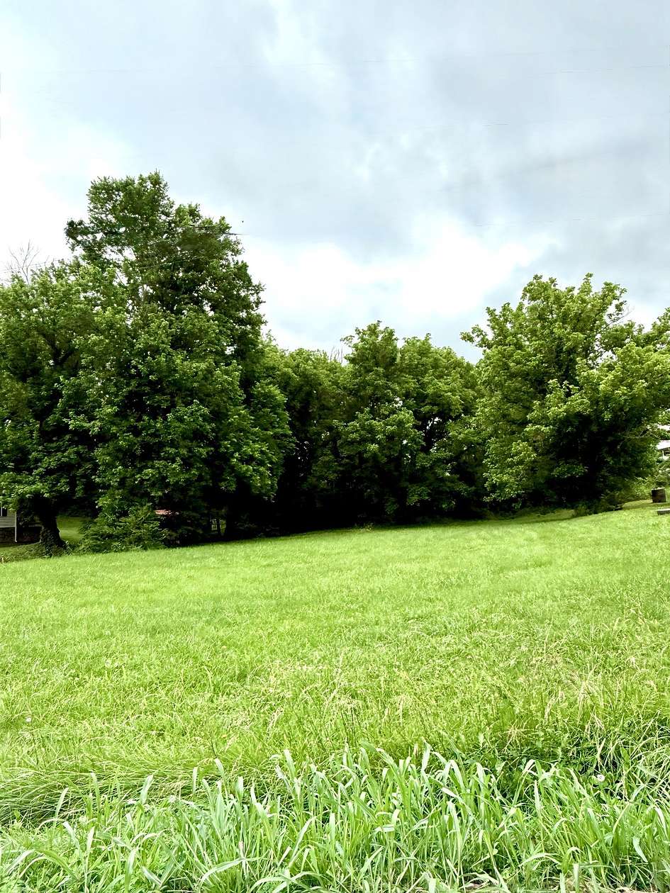 0.32 Acres of Residential Land for Sale in Lafayette, Tennessee