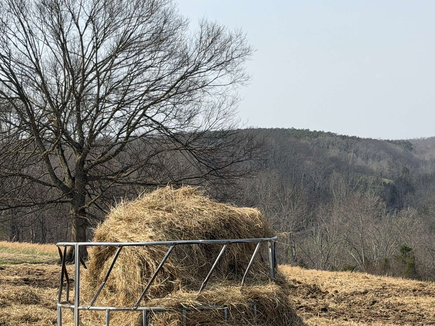 270 Acres of Land for Sale in Franklin, Tennessee