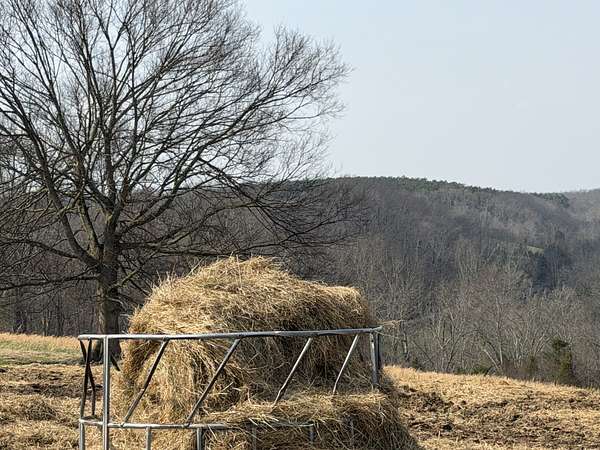 270 Acres of Land for Sale in Franklin, Tennessee