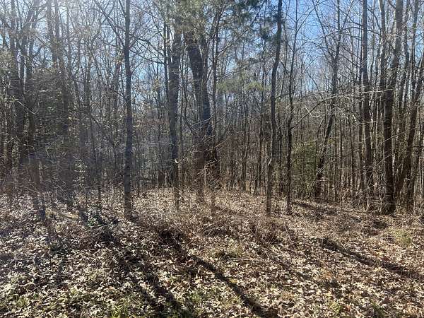 0.47 Acres of Residential Land for Sale in Camden, Tennessee