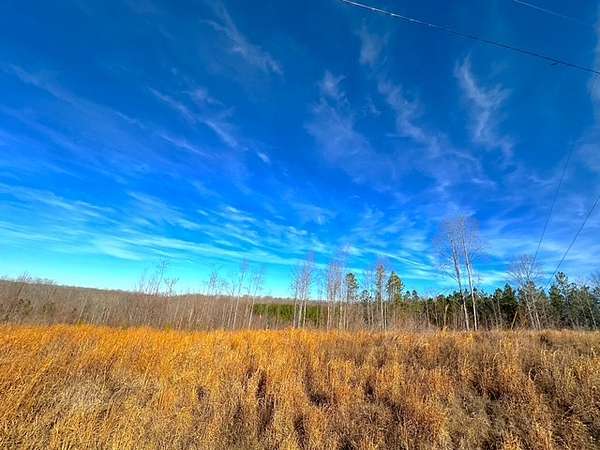 9.19 Acres of Land for Sale in Dover, Tennessee