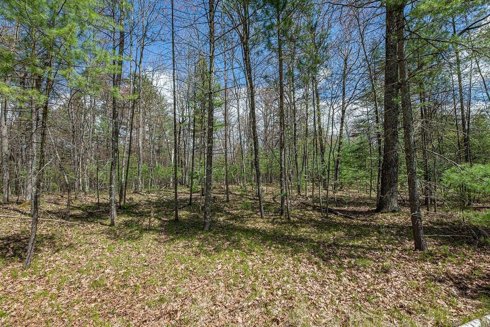 11.4 Acres of Land for Sale in Eagle River, Wisconsin