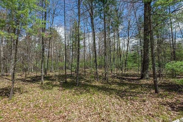 11.4 Acres of Land for Sale in Eagle River, Wisconsin