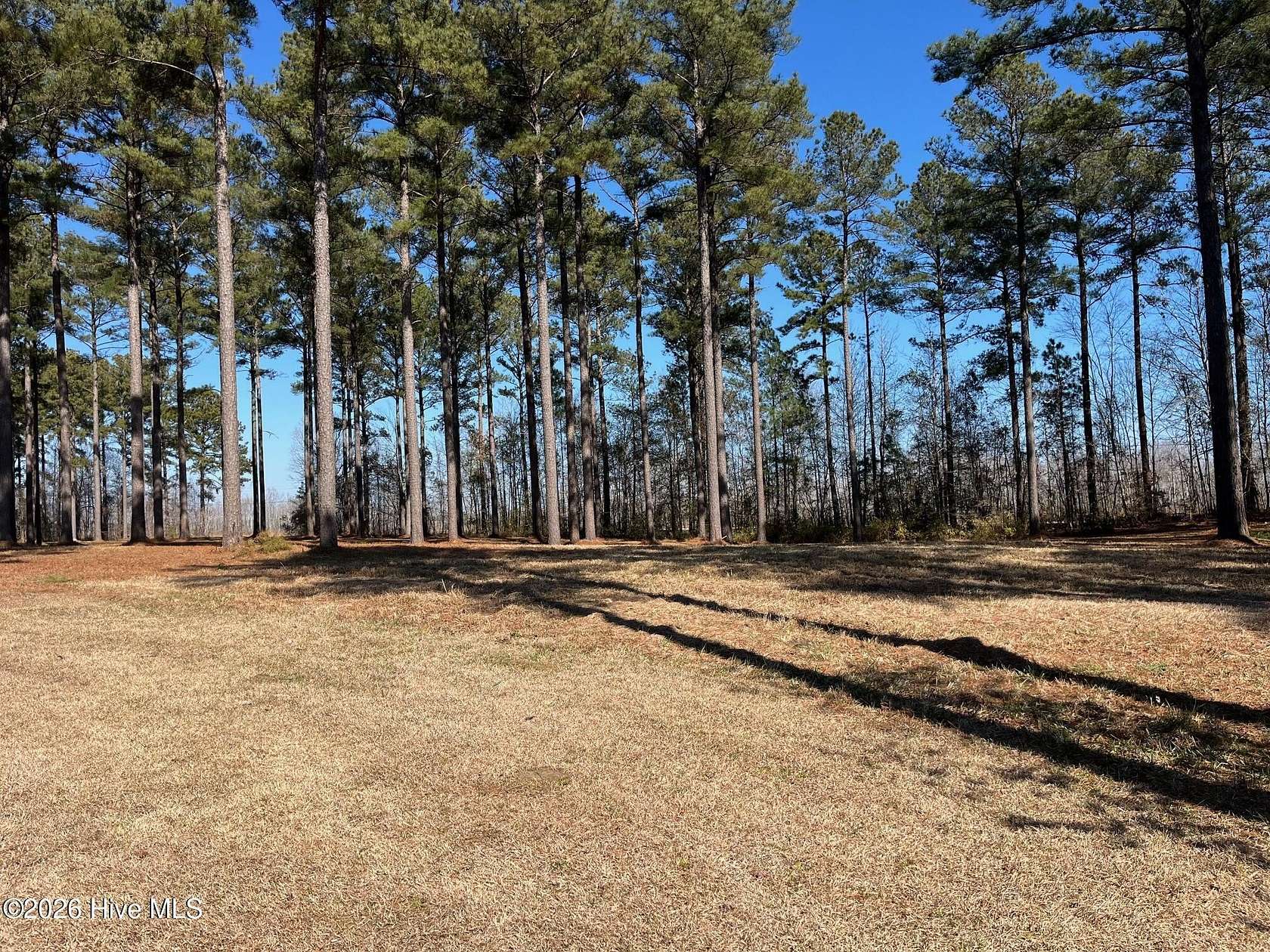 0.59 Acres of Residential Land for Sale in Oriental, North Carolina