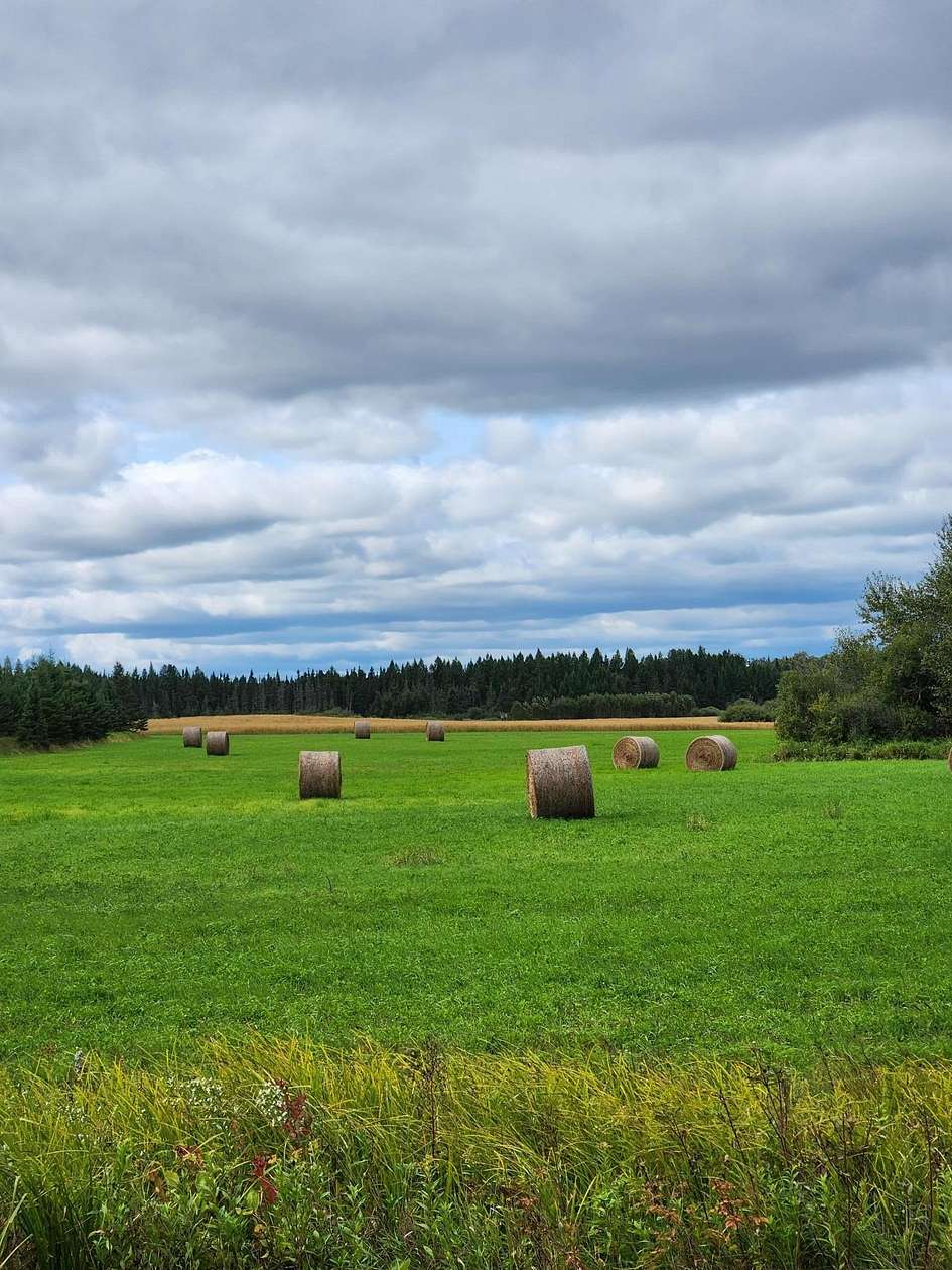 77 Acres of Recreational Land with Home for Sale in Angora, Minnesota