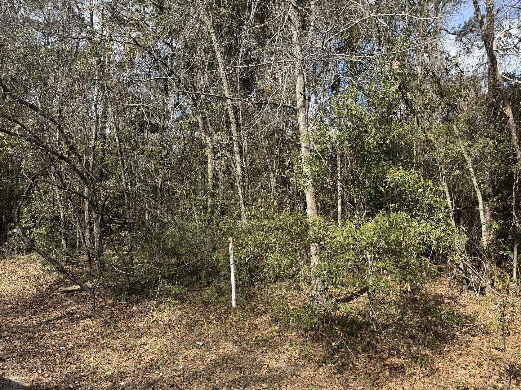 1.6 Acres of Residential Land for Sale in Walterboro, South Carolina
