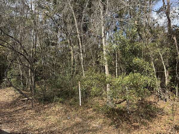 1.6 Acres of Residential Land for Sale in Walterboro, South Carolina