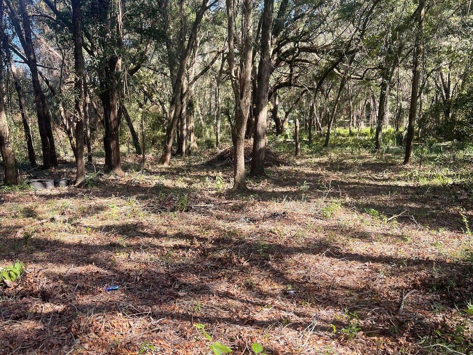 0.62 Acres of Residential Land for Sale in Belleview, Florida