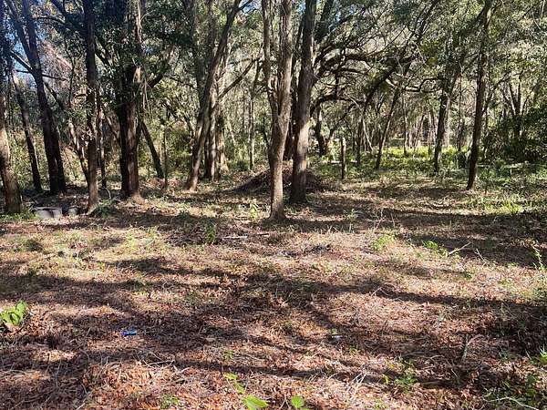 0.62 Acres of Residential Land for Sale in Belleview, Florida