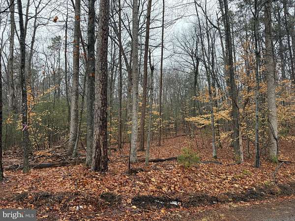 3 Acres of Residential Land for Sale in Madison, Virginia