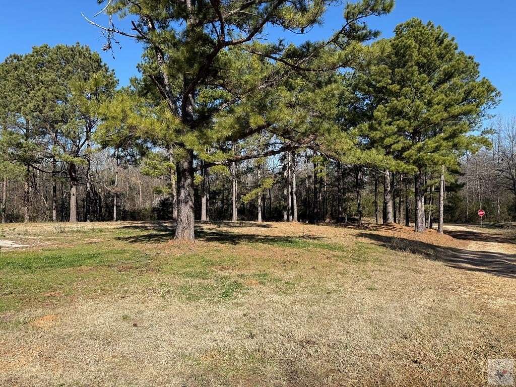 2.8 Acres of Residential Land for Sale in Simms, Texas