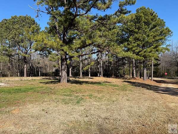 2.8 Acres of Residential Land for Sale in Simms, Texas