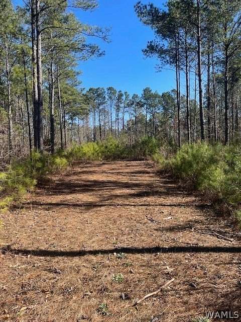 60 Acres of Land for Sale in Northport, Alabama