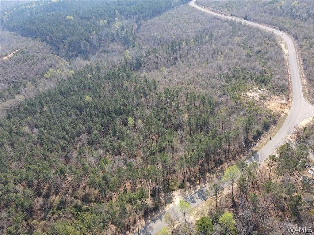 60 Acres of Land for Sale in Northport, Alabama