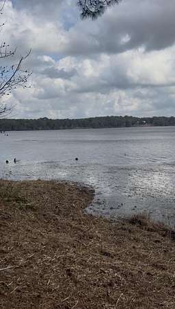 0.94 Acres of Residential Land for Sale in DeFuniak Springs, Florida