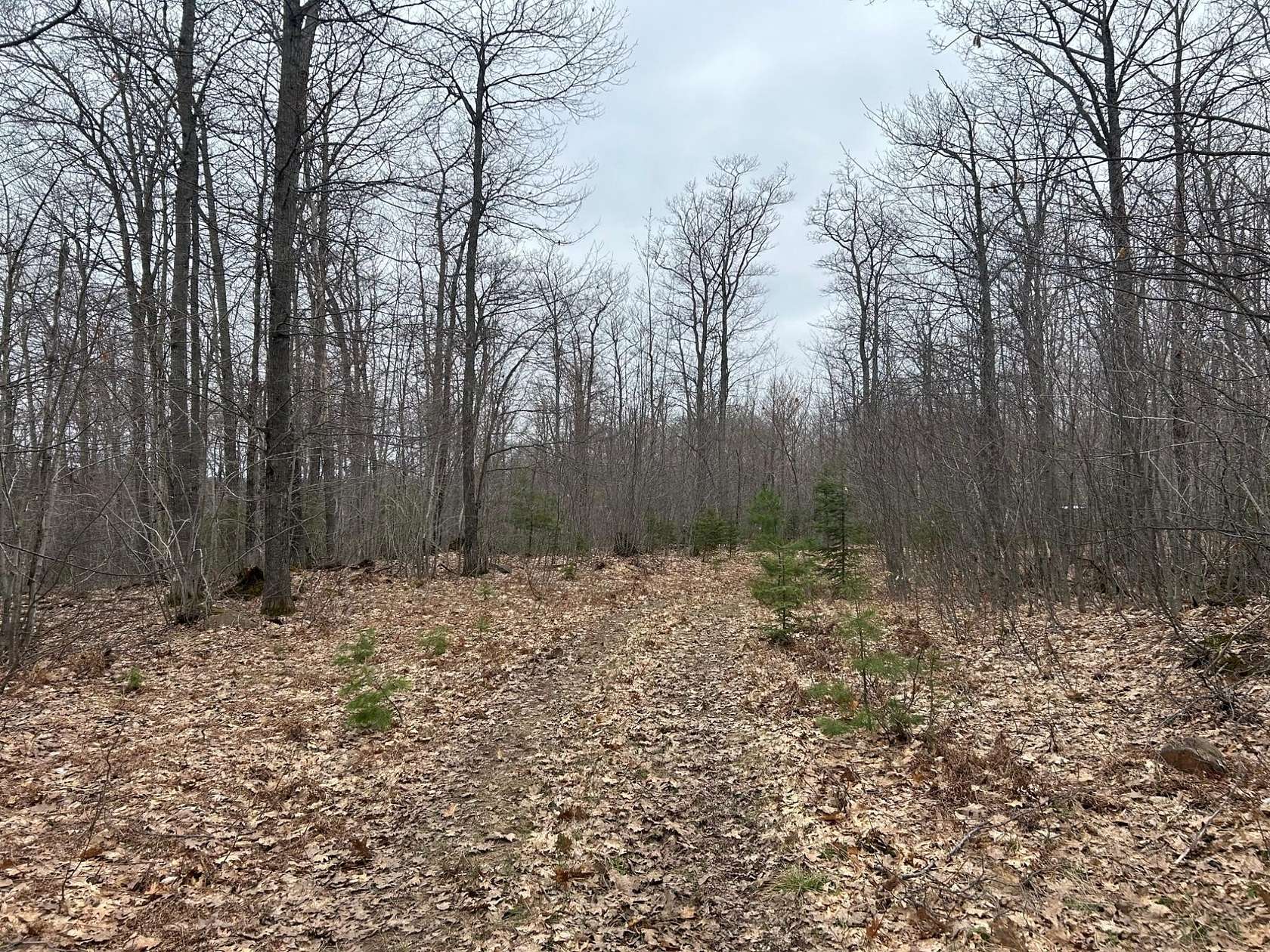 153 Acres of Recreational Land for Sale in Negaunee, Michigan