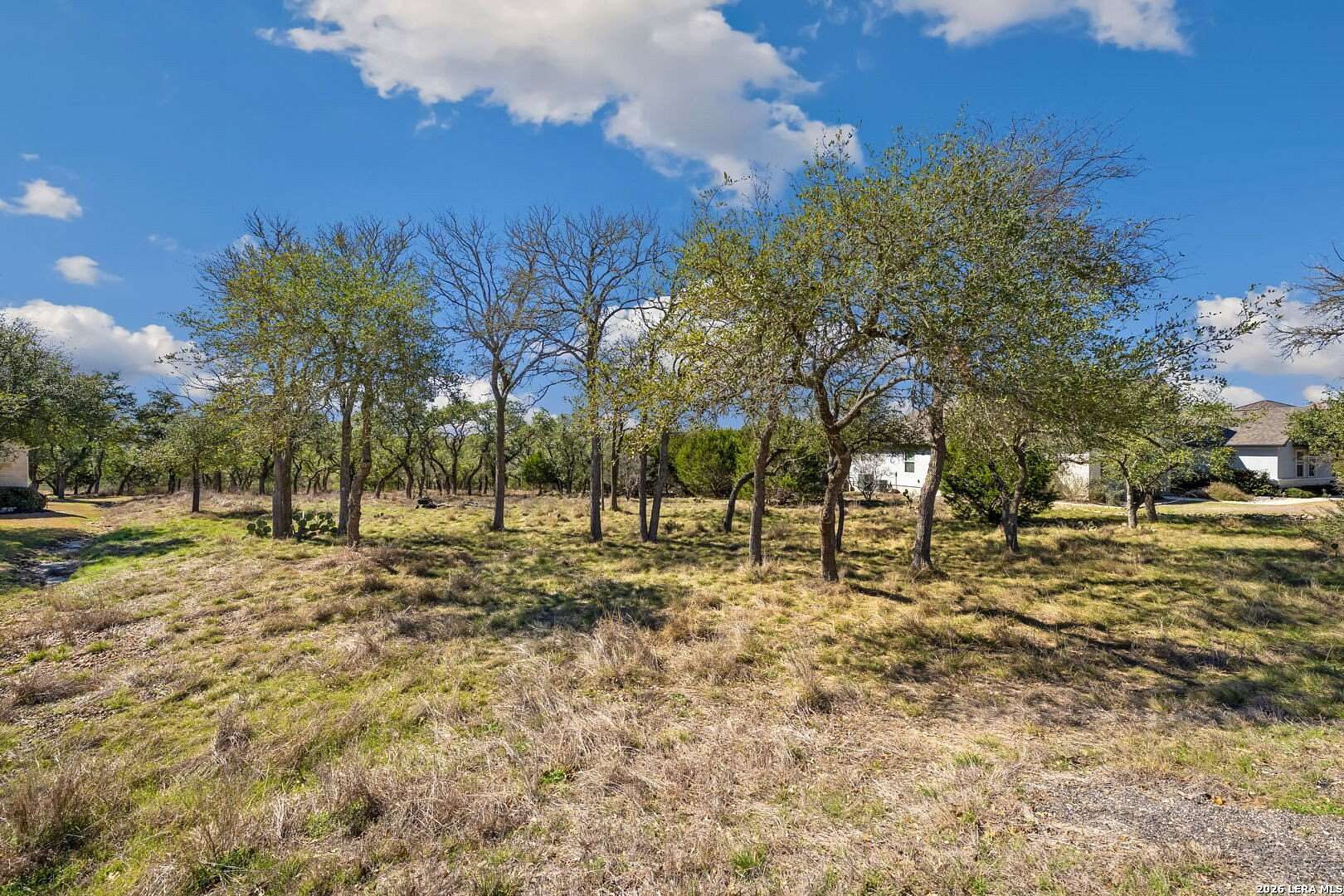 1 Acre of Residential Land for Sale in New Braunfels, Texas